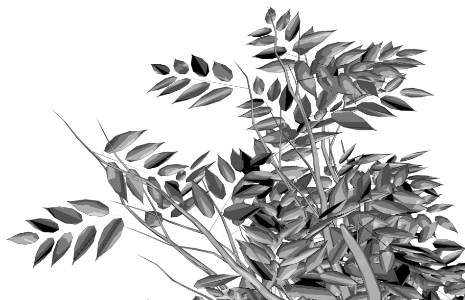 clipstudio用【3D】ケヤキの木 (6パターン)