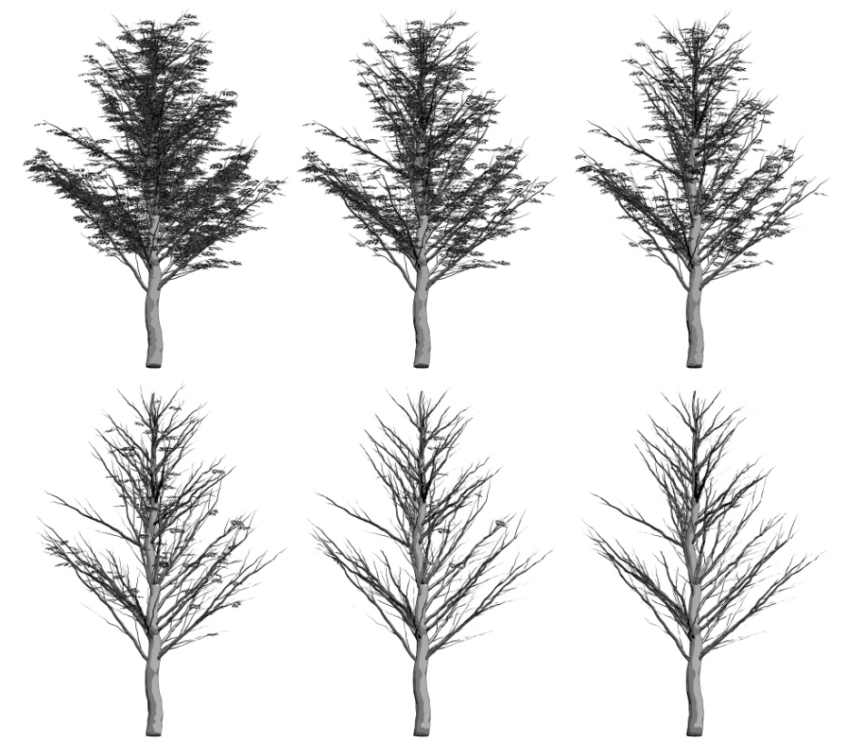 clipstudio用【3D】ケヤキの木 (6パターン)