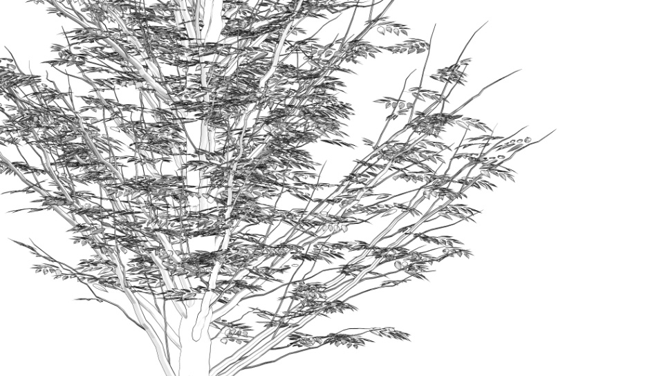 clipstudio用【3D】ケヤキの木 (6パターン)