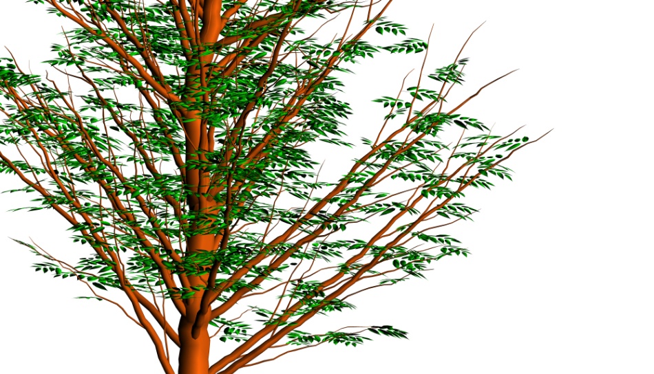 clipstudio用【3D】ケヤキの木 (6パターン)