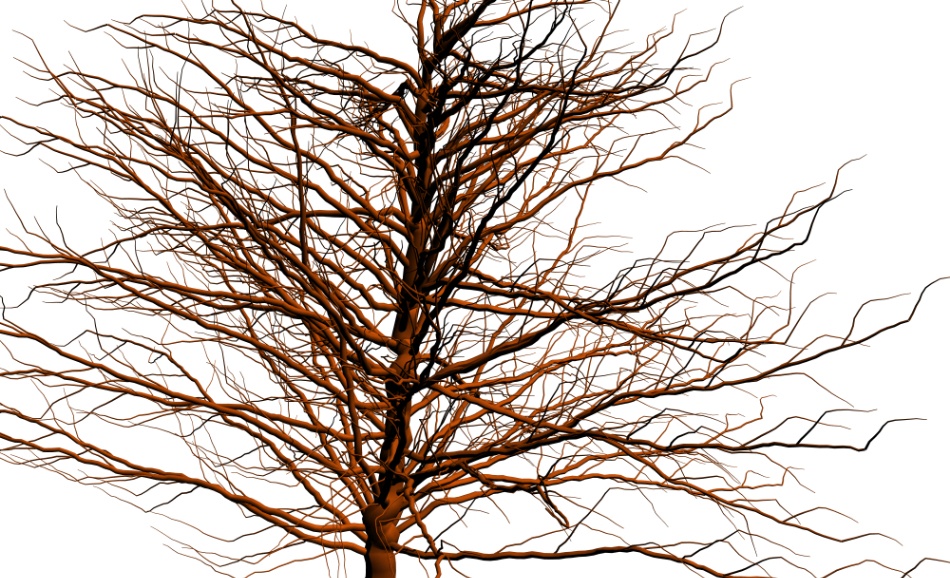 clipstudio用【3D】ケヤキ(大)6種