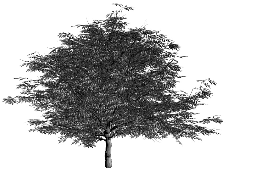 clipstudio用【3D】ケヤキ(大)6種