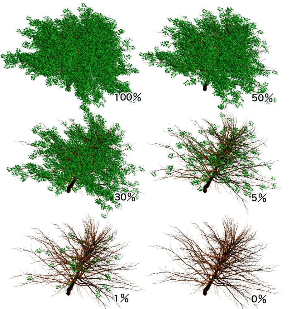 clipstudio用【3D】ケヤキ(大)6種