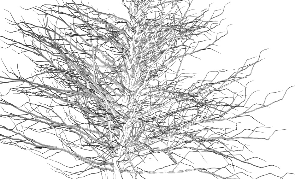 clipstudio用【3D】ケヤキ(大)6種