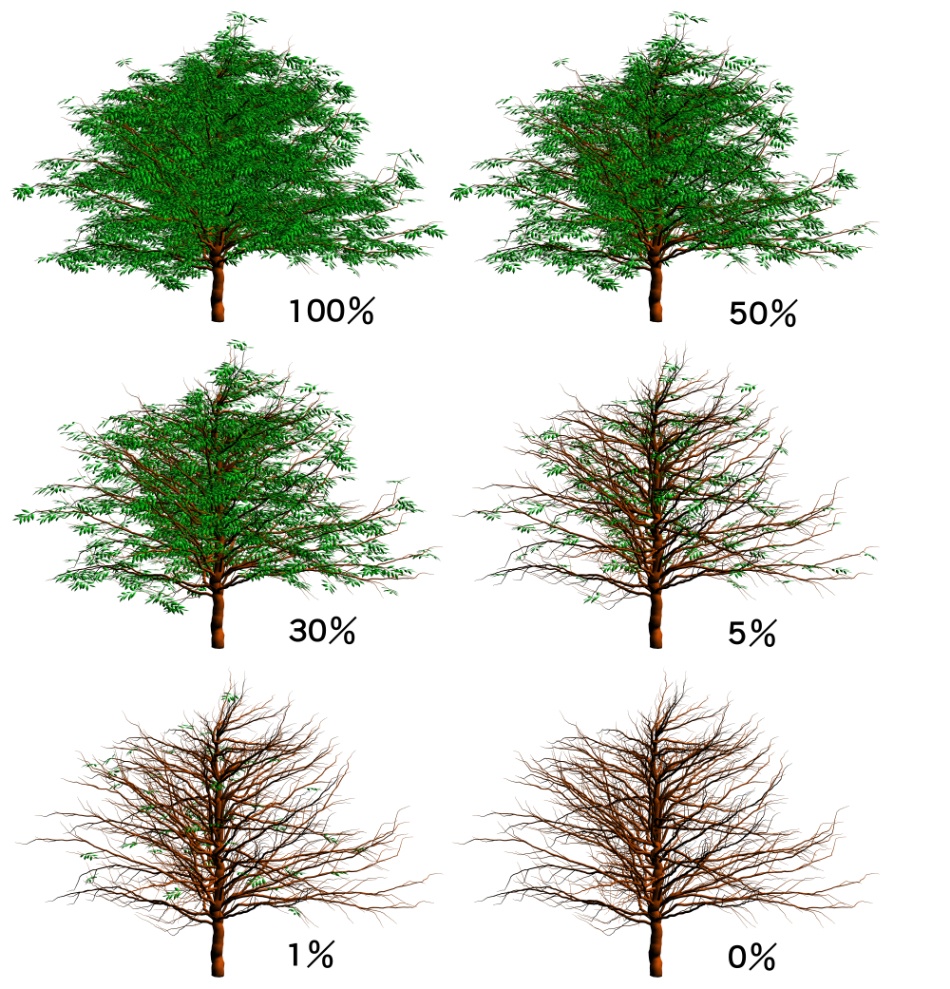 clipstudio用【3D】ケヤキ(大)6種