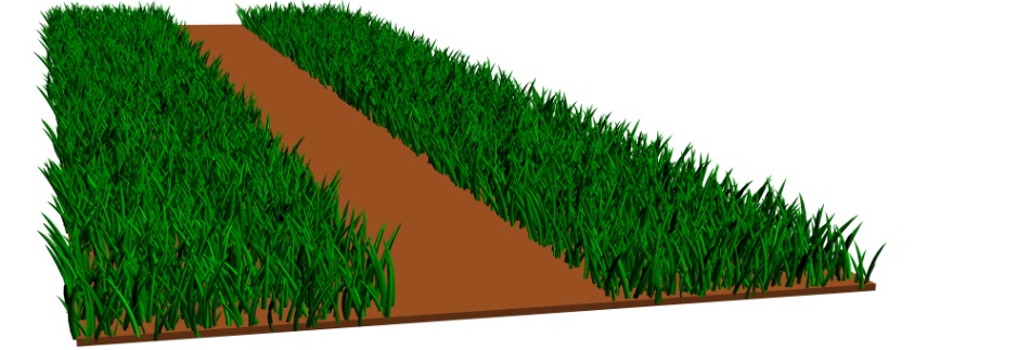 clipstudio用【3D】木道の並木道