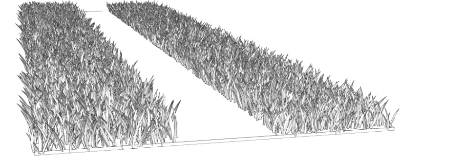 clipstudio用【3D】木道の並木道