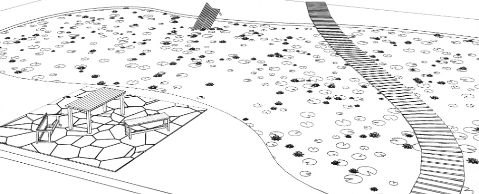 clipstudio用【3D】睡蓮の池