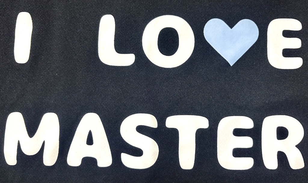 『I LOVE MASTER』Tシャツ(ニョン)