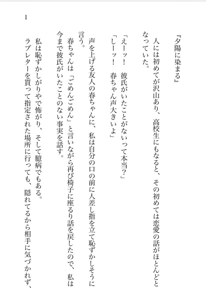 自作小説「青春」オンリーSS/13作収録