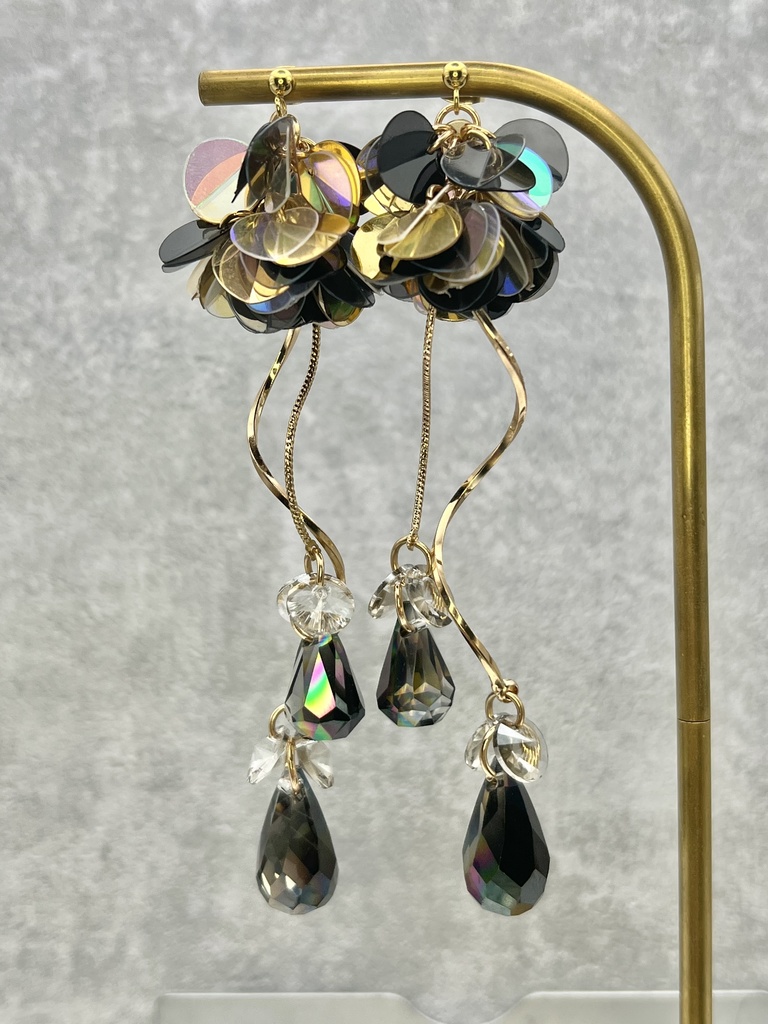 黒龍 イメージアクセ