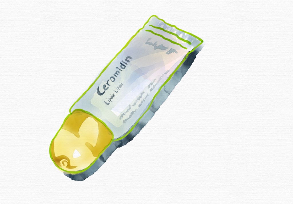 イラスト