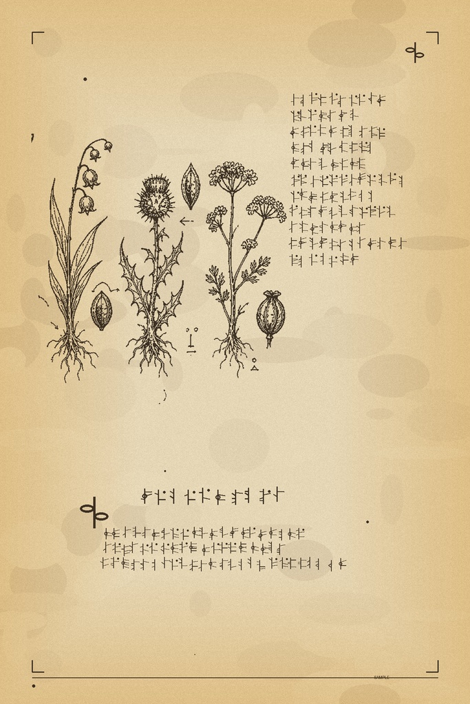 見習い魔法使いの紛失日誌