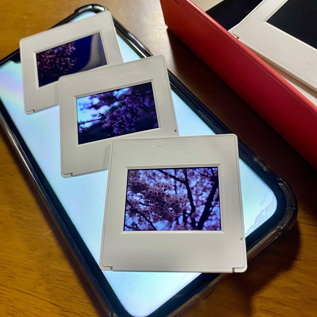 愛しい季節のこどもたち