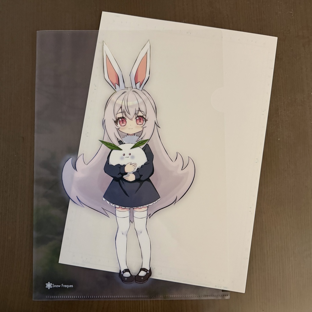 ️A4クリアファイル 【Sakura in the Thaw】