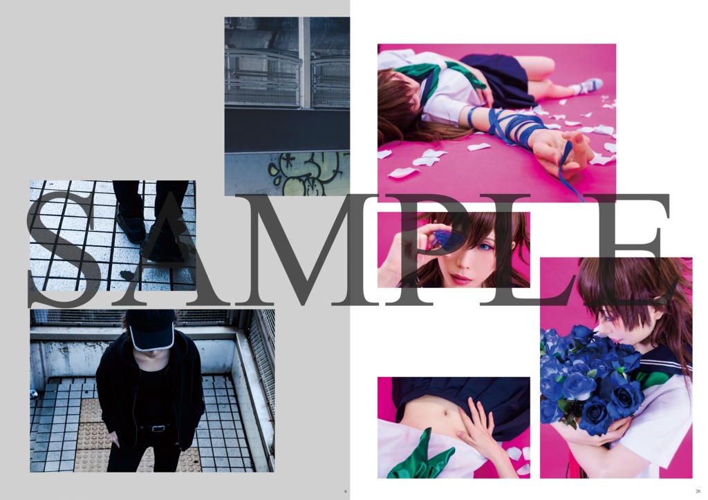 「Déguisement」+「colombe」2冊セット