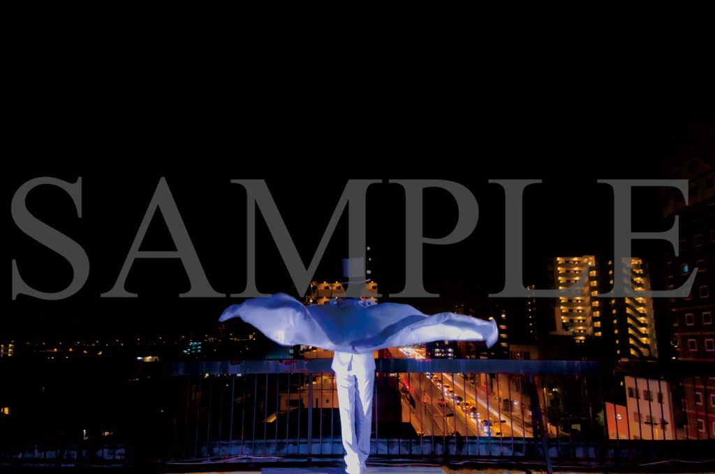 「Déguisement」+「colombe」2冊セット