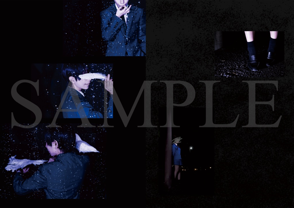 「Déguisement」+「colombe」2冊セット