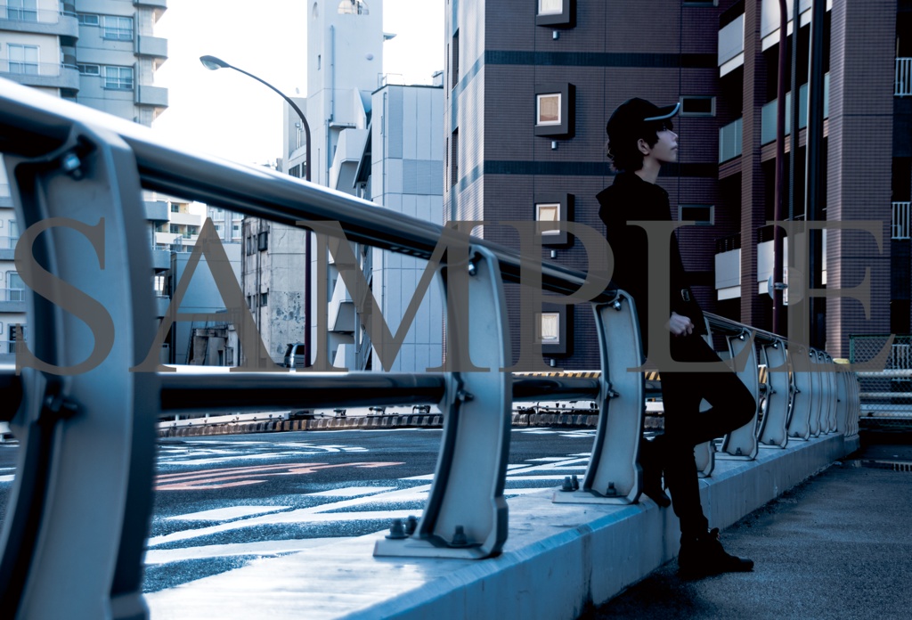 「Déguisement」+「colombe」2冊セット