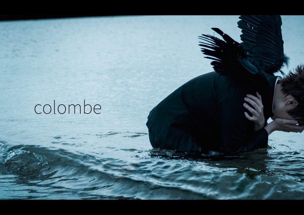 colombe