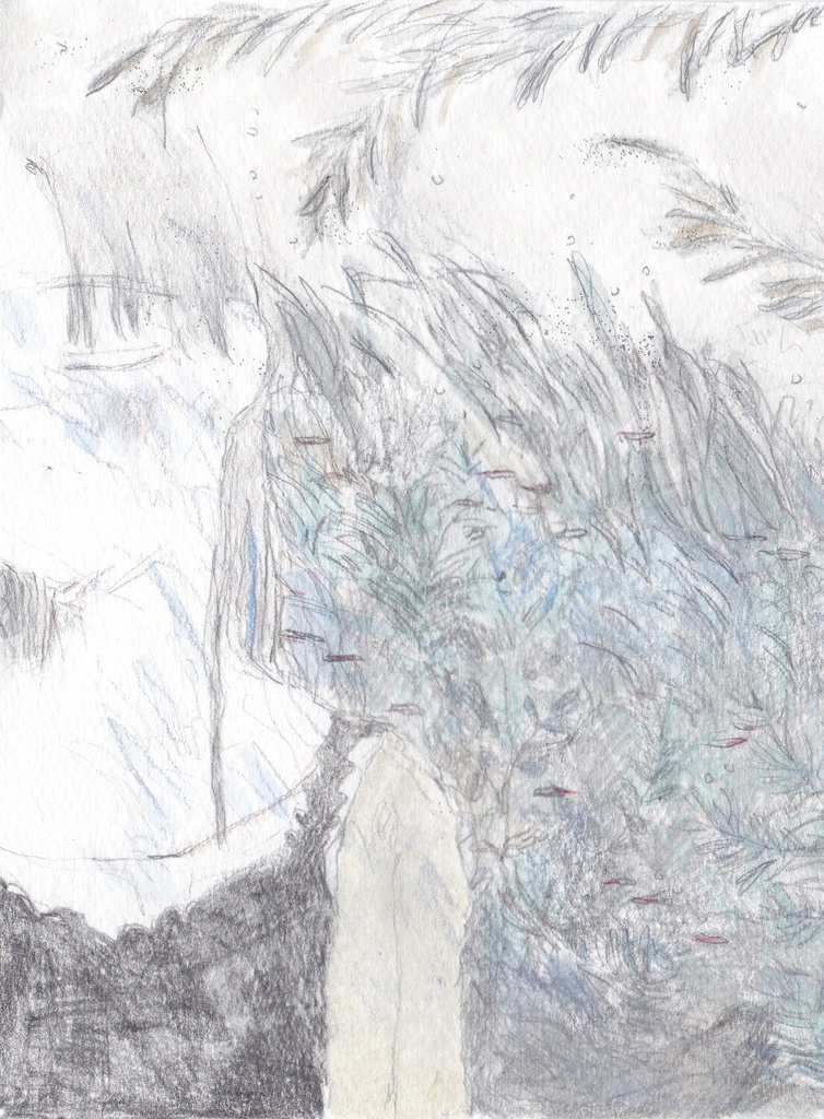 それでも彼女が愛したこの世界