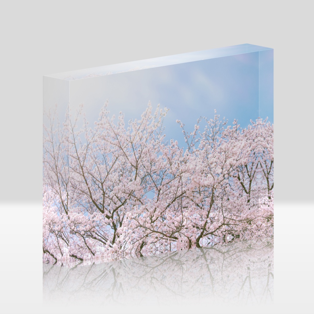 桜のアクリルブロック