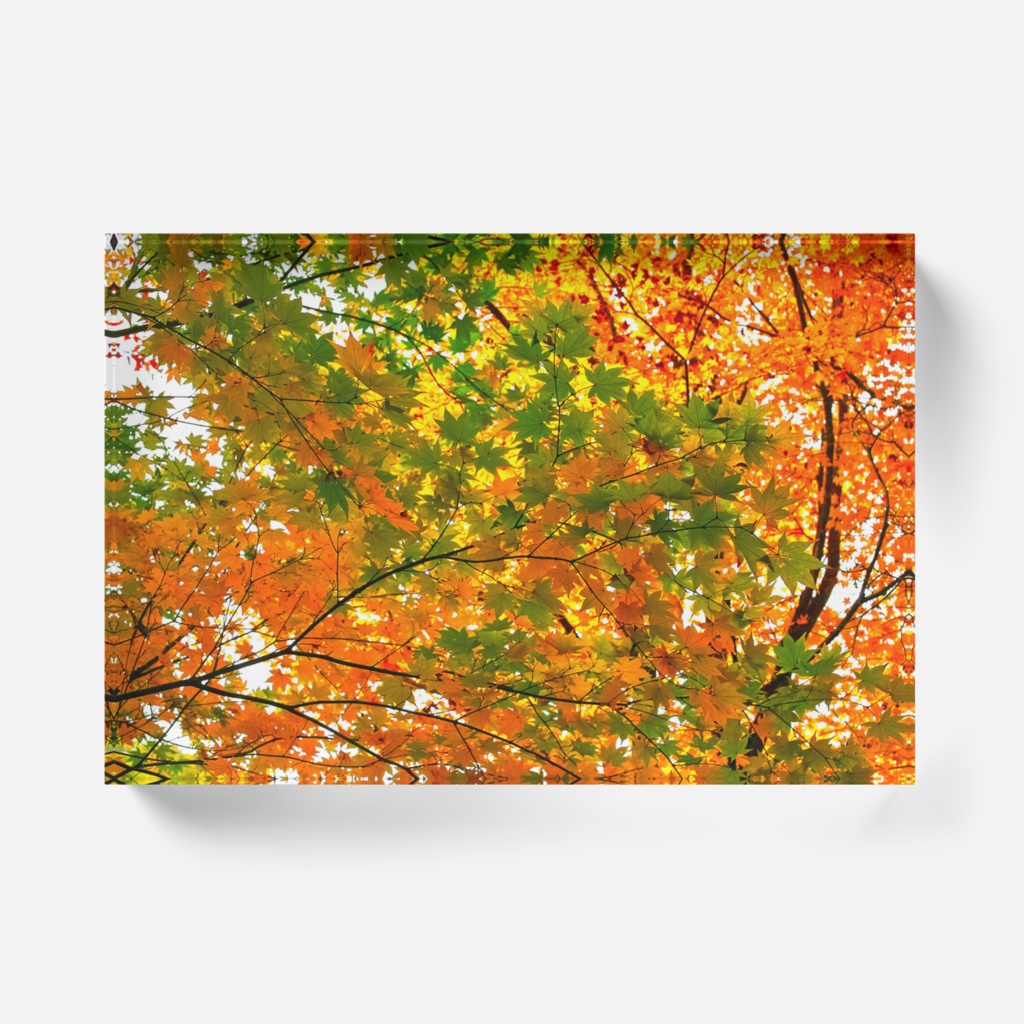 紅葉のアクリルブロック