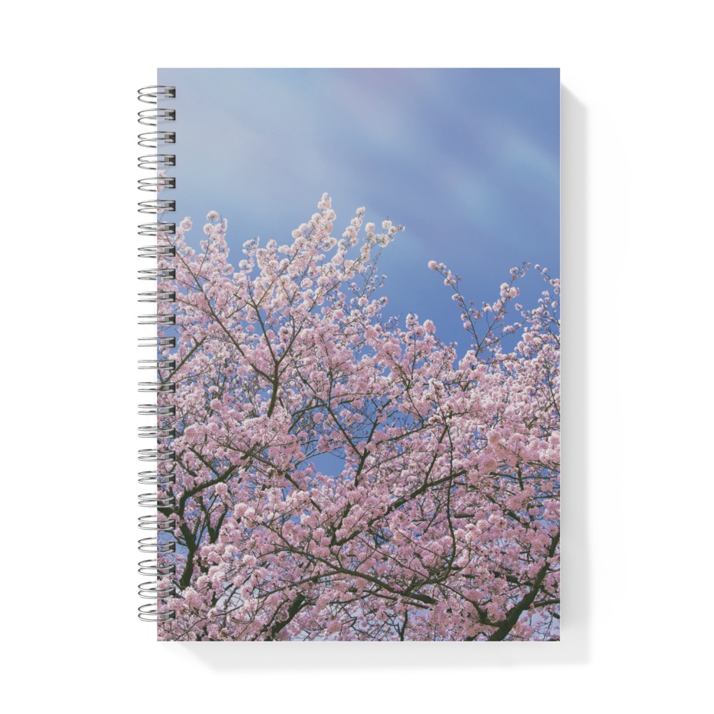 リングノート 桜