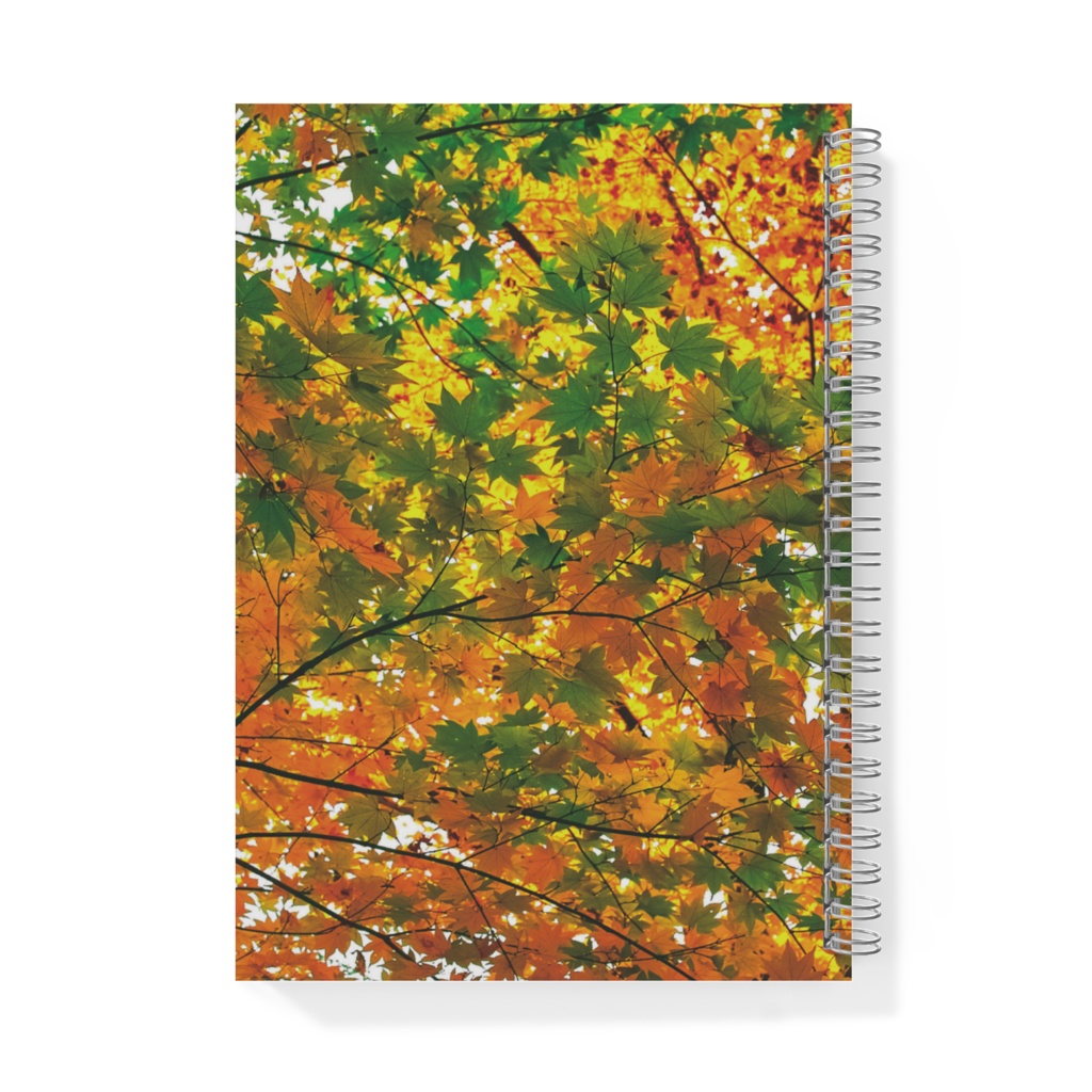 リングノート 紅葉