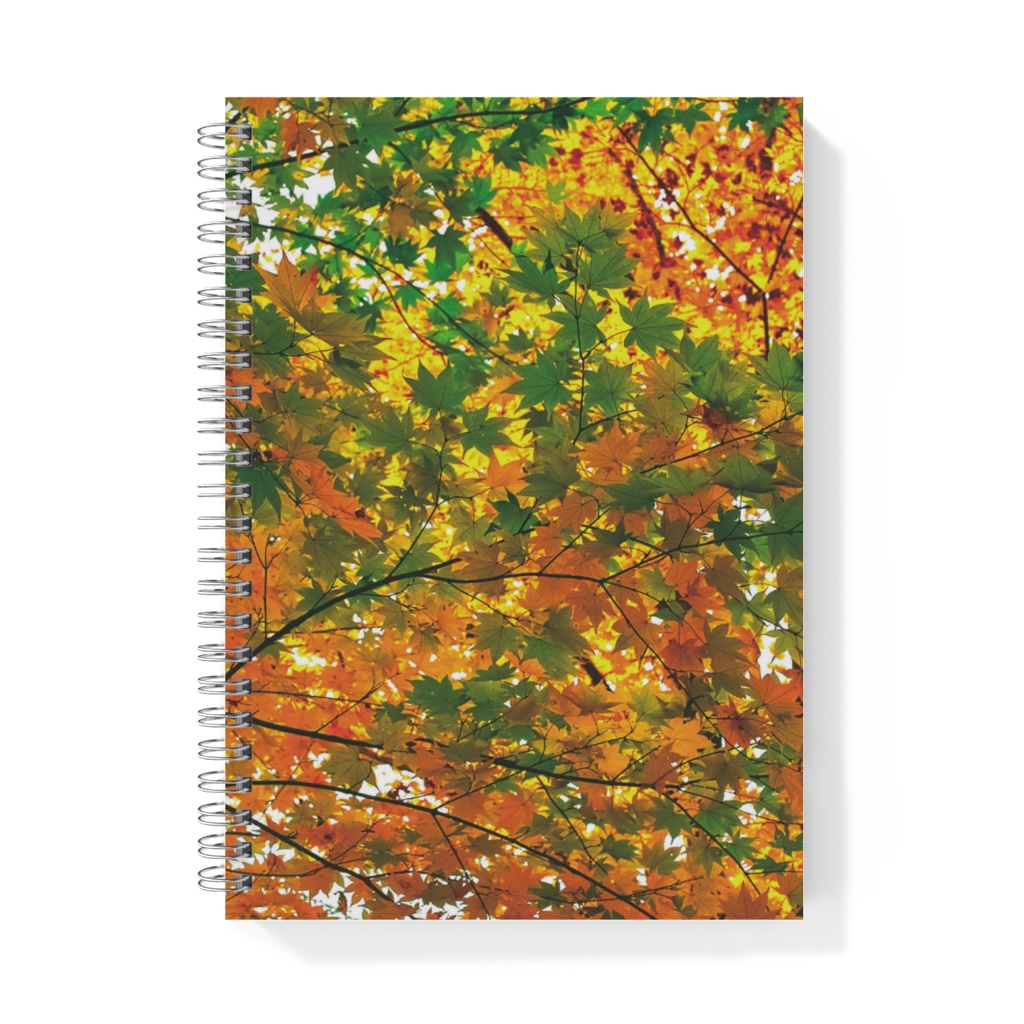 リングノート 紅葉