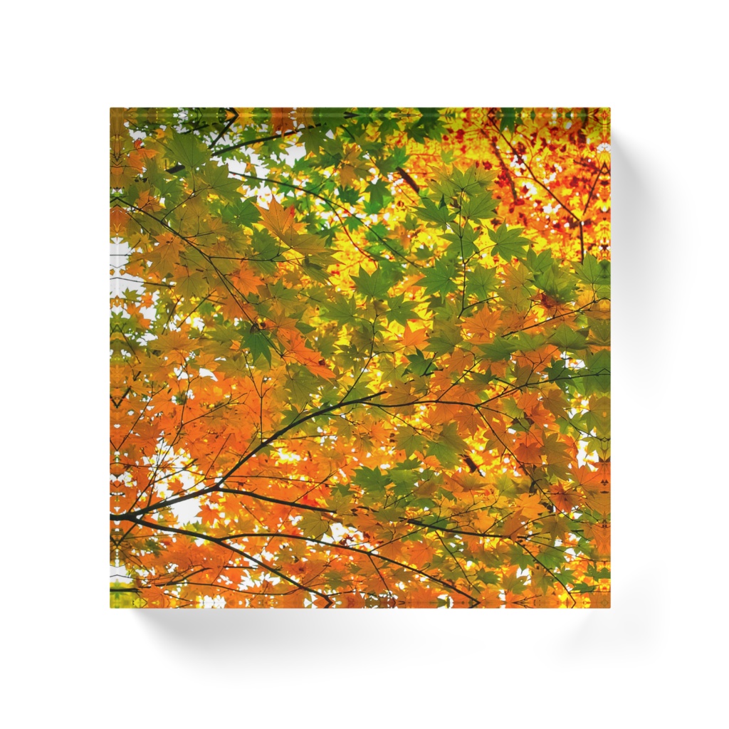 紅葉のアクリルブロック