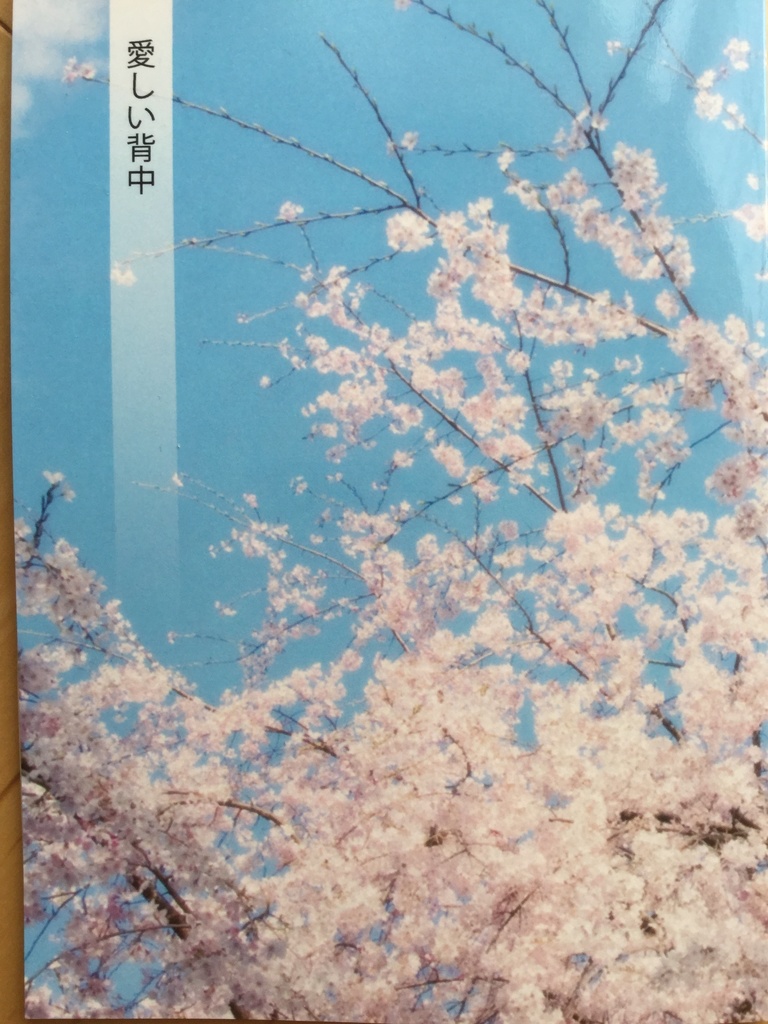 愛しい背中【ロビぐだ小説】