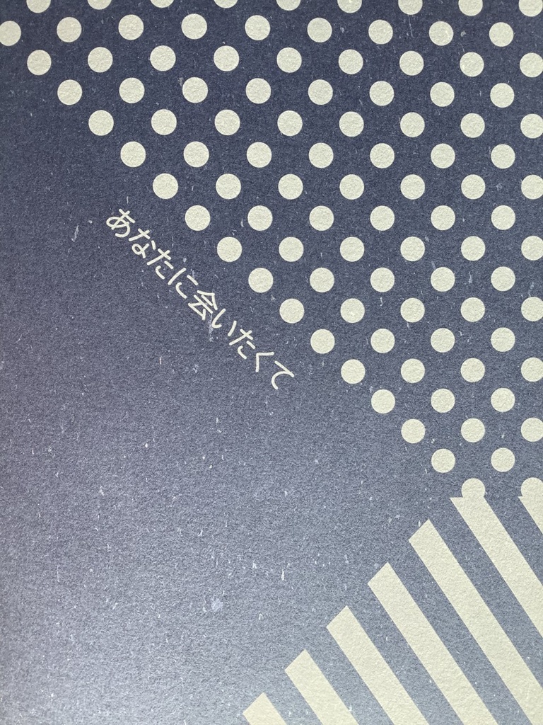 あなたに会いたくて【ぐだロビ小説】