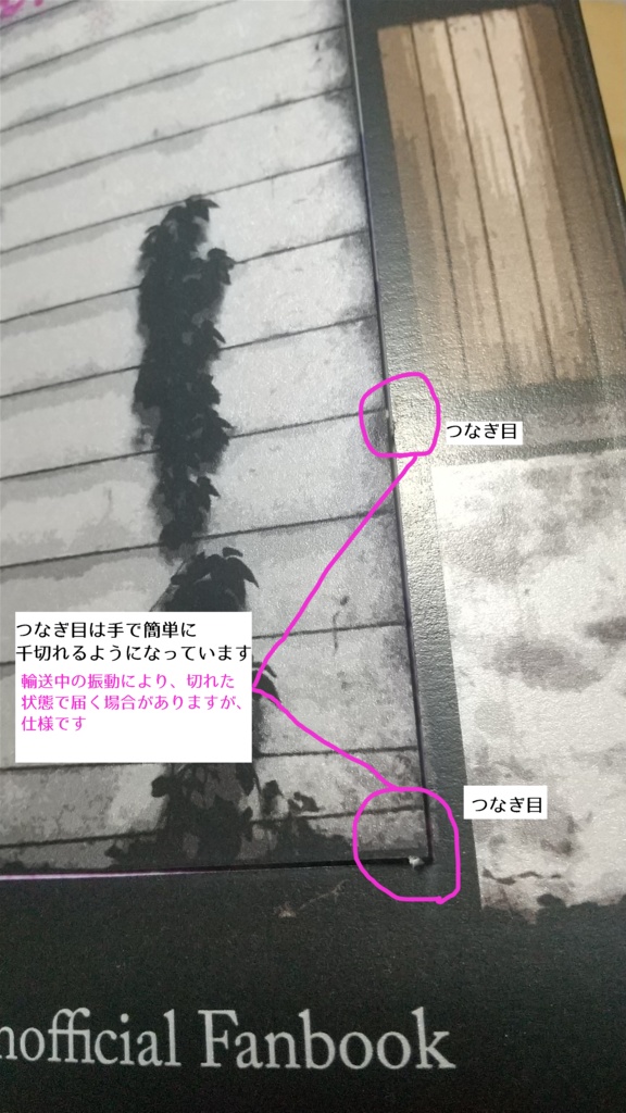 Over the Frozen Sea(合同誌)