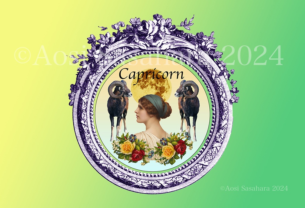 12星座パスケース