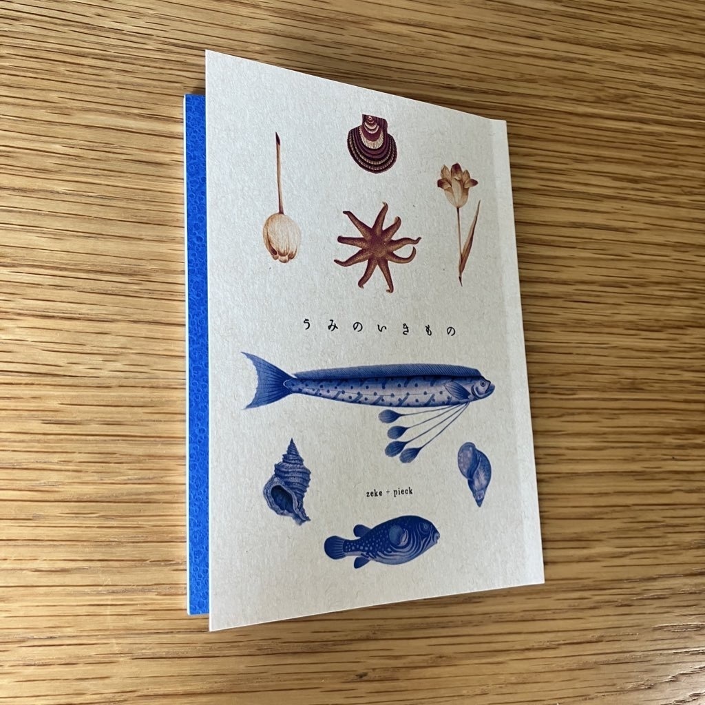 ジクピク短編小説集『うみのいきもの』