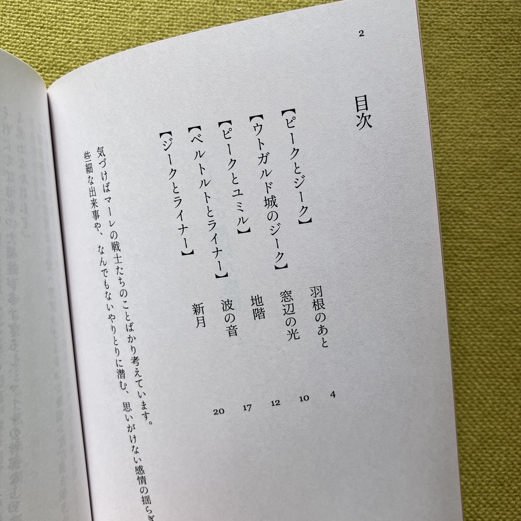 戦士隊掌編再録集『マーレの微妙な感情2』