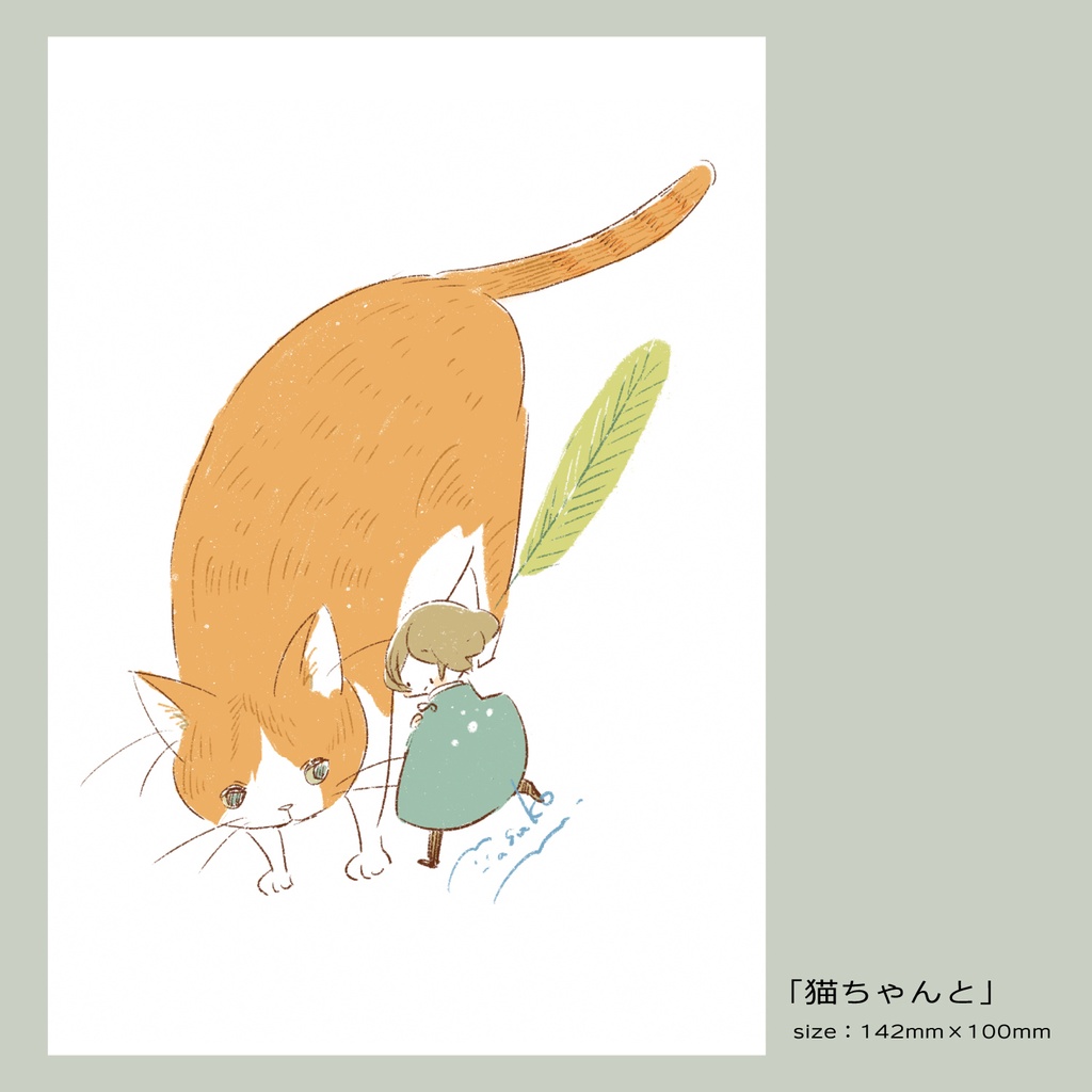 ポストカードC