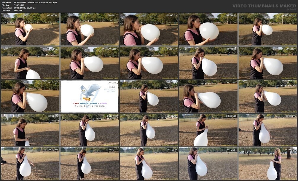 公園で白い 14 インチの風船を吹いて割るアリス