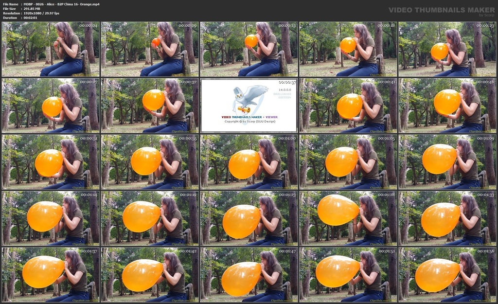 アリス B2P 16 インチのチャイニーズバルーン