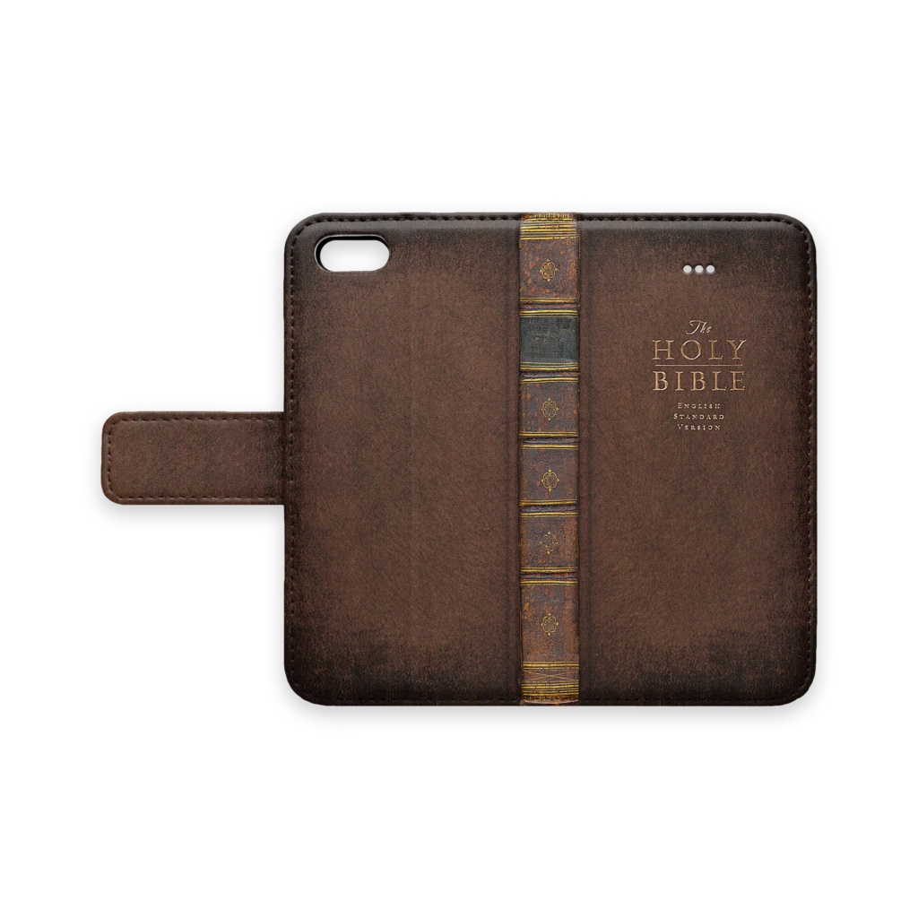 Holy Bible -Brown-