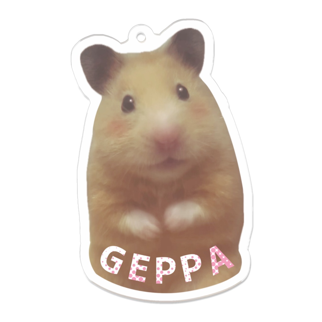げっぱちゃんはキンクマハムスター