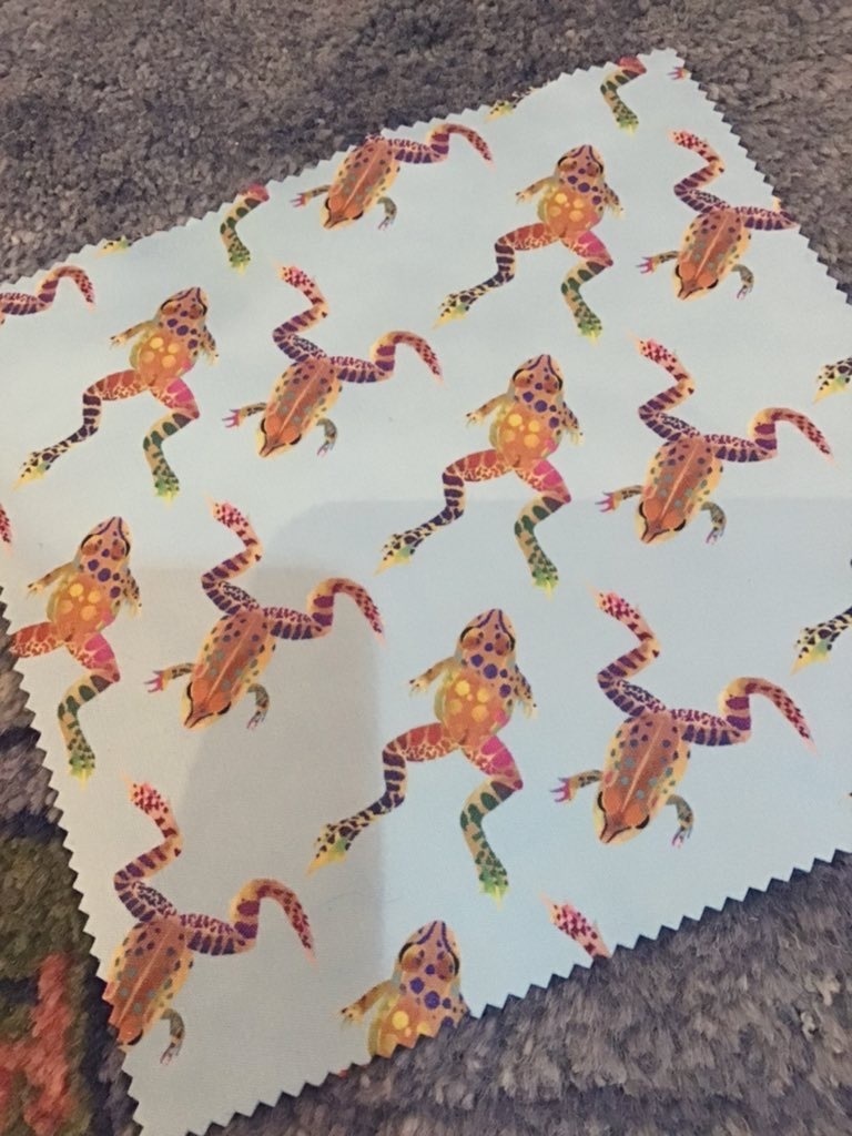 ダルダルめがねふき(ナゴヤダルマガエル岡山種族・名古屋種族)