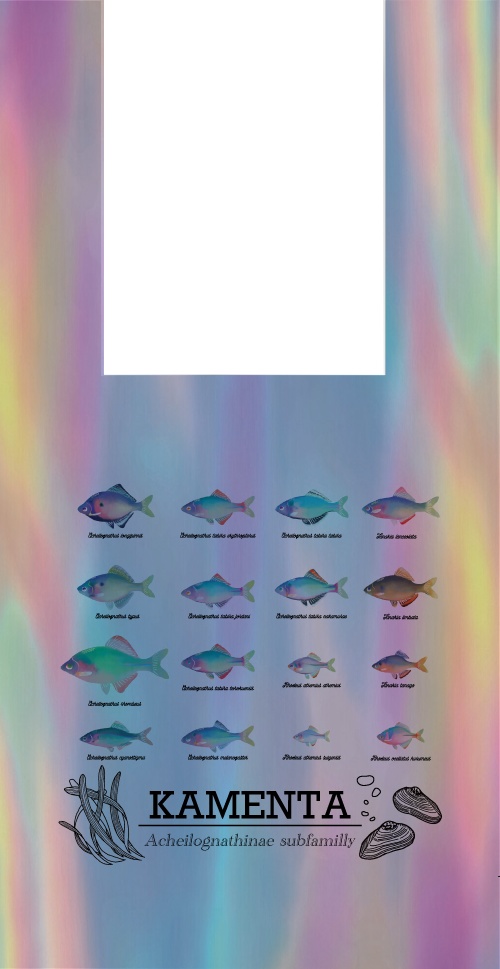 にったんビニールバッグ(オイカワ・タナゴ類)