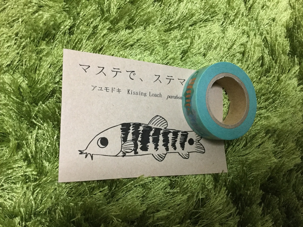 アユモドキのマスキングテープ( MT Kissingloach)