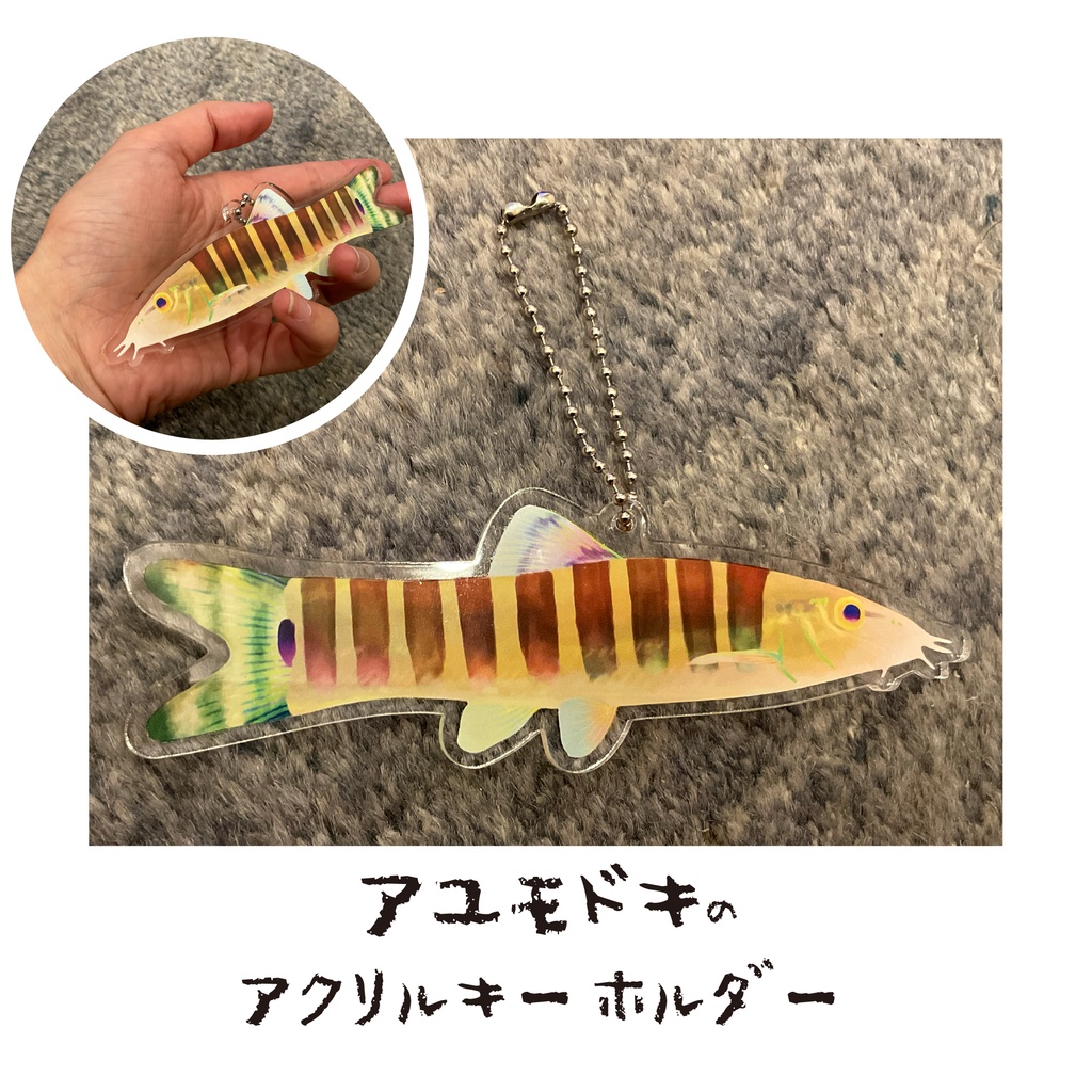 アユモドキのアクリルキーホルダー