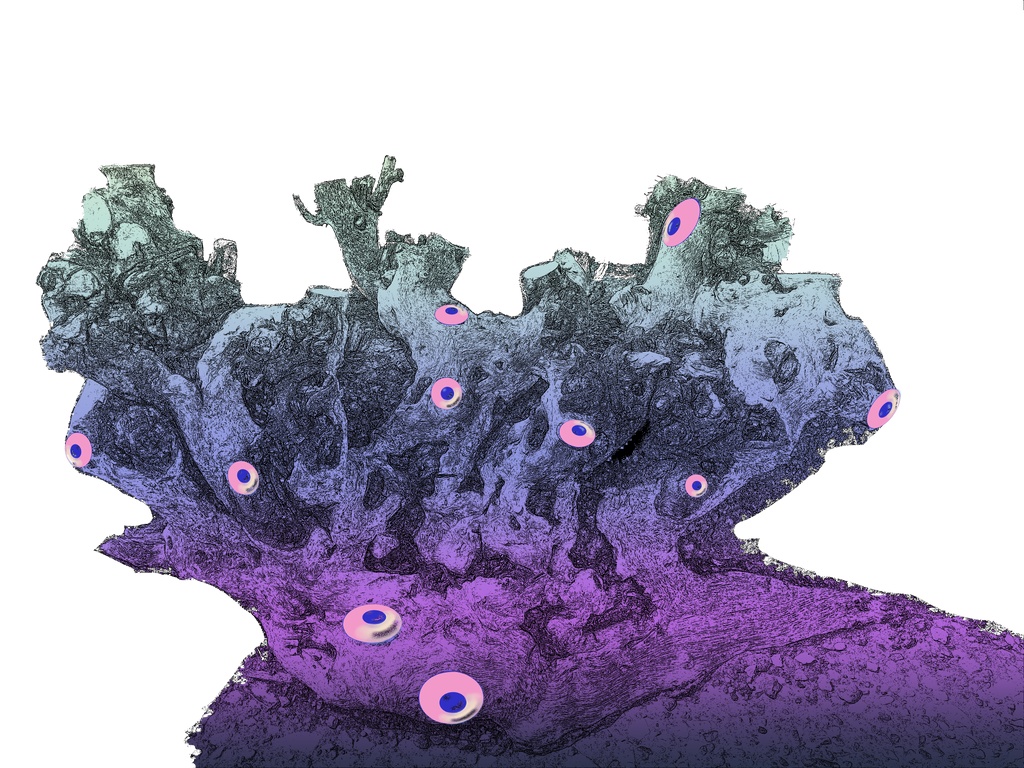 モンスター素材集