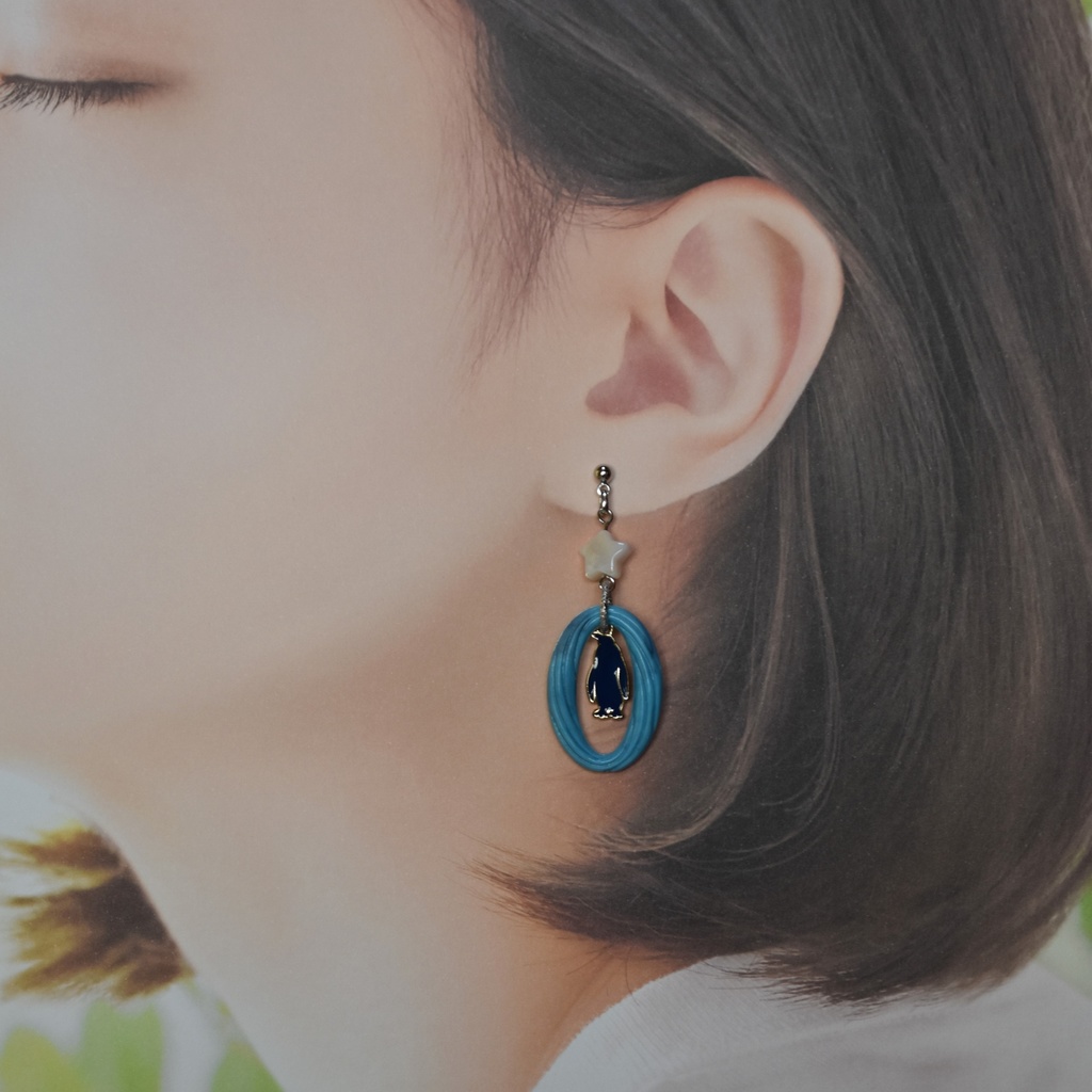 polar star ピアス/イヤリング(スターダスト)