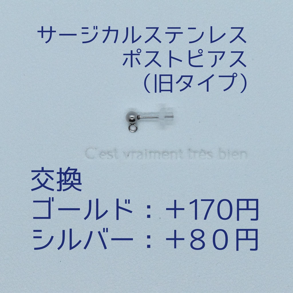 サージカルステンレス製金具に変更