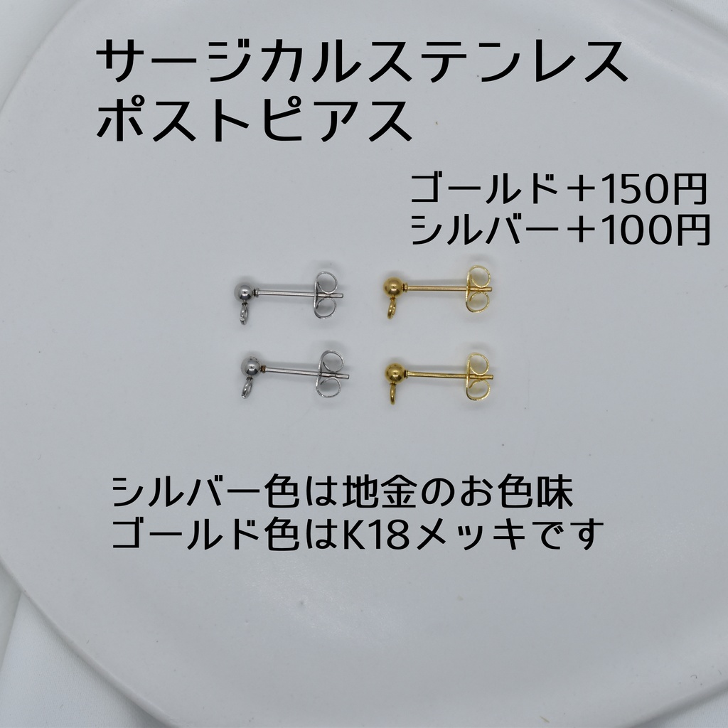 サージカルステンレス製金具に変更